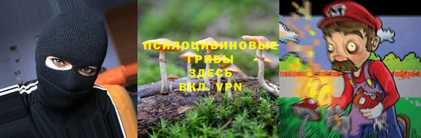 гашик Абаза