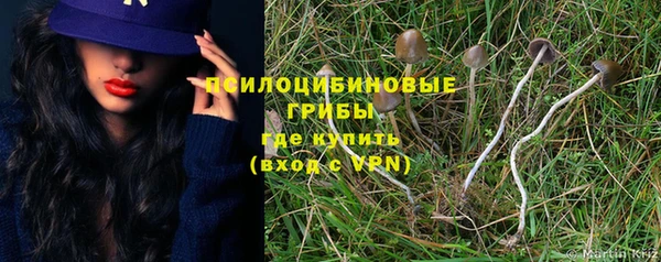Альфа ПВП Медногорск