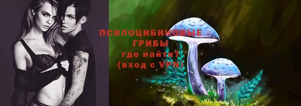 мескалин Медвежьегорск