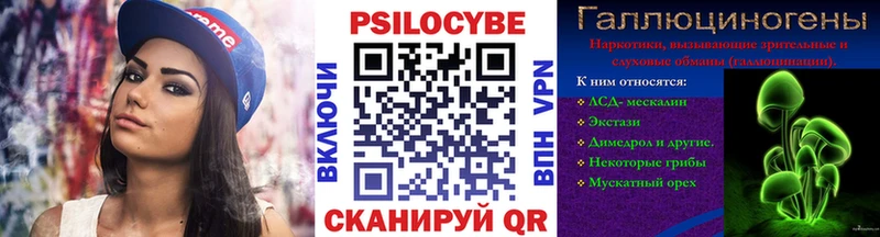 Псилоцибиновые грибы Psilocybe  купить   Шлиссельбург 