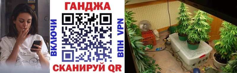hydra маркетплейс Шлиссельбург Канабис SATIVA & INDICA